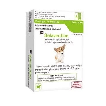 Selavectine for Dogs Solution 1 Box of 6 Applicators