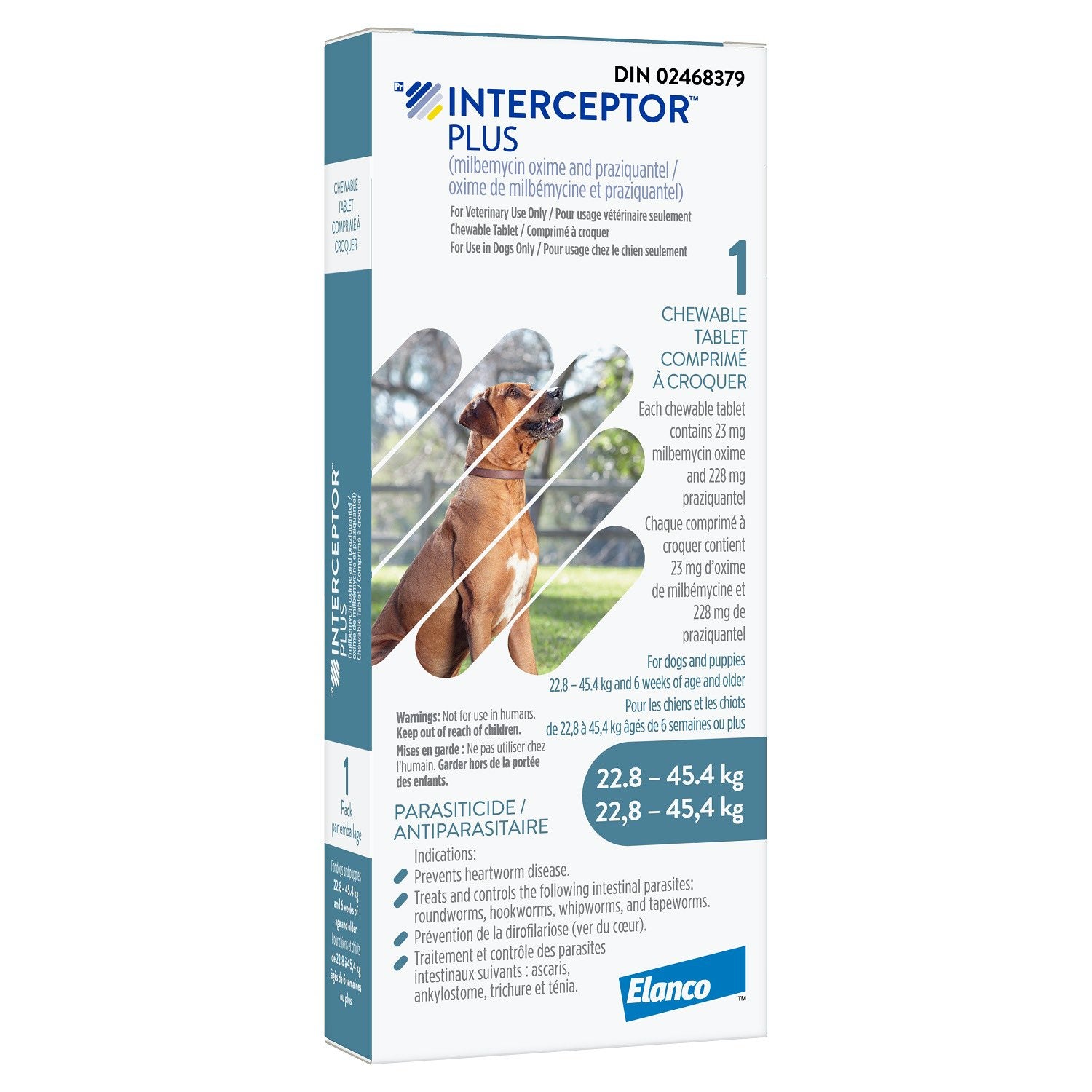 Interceptor Plus Chewable Tablets (Blue) (22.8 - 45.4 kg) 16 X 1 Chewable Tablets