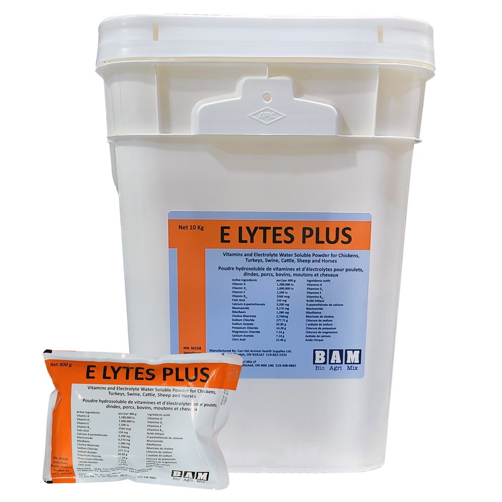 ELytes Plus 400 g Pouch