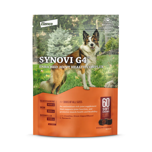 Synovi G4 for Dogs 60 Soft Chews