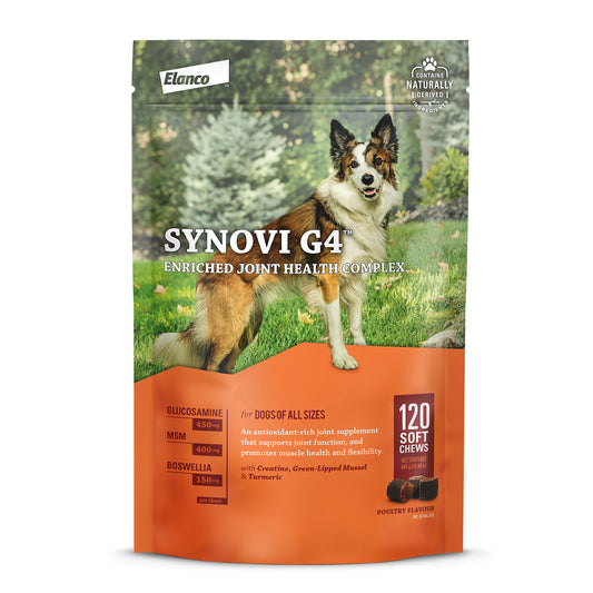 Synovi G4 for Dogs 120 Soft Chews