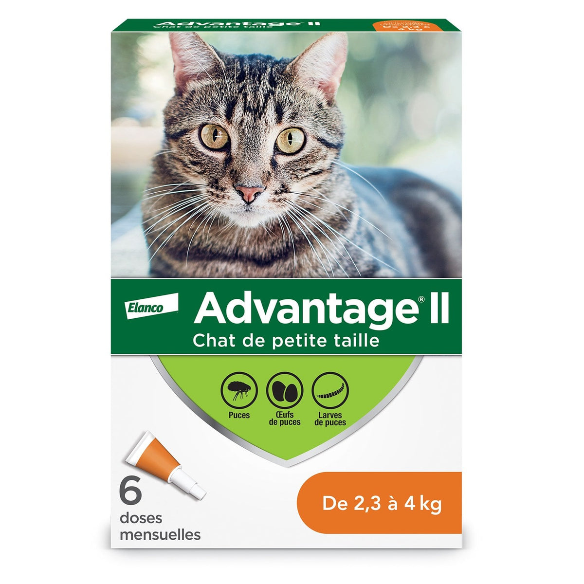 Advantage II for Cats - 2.3-4 kg (Orange) / Pack of 6 - product image 1