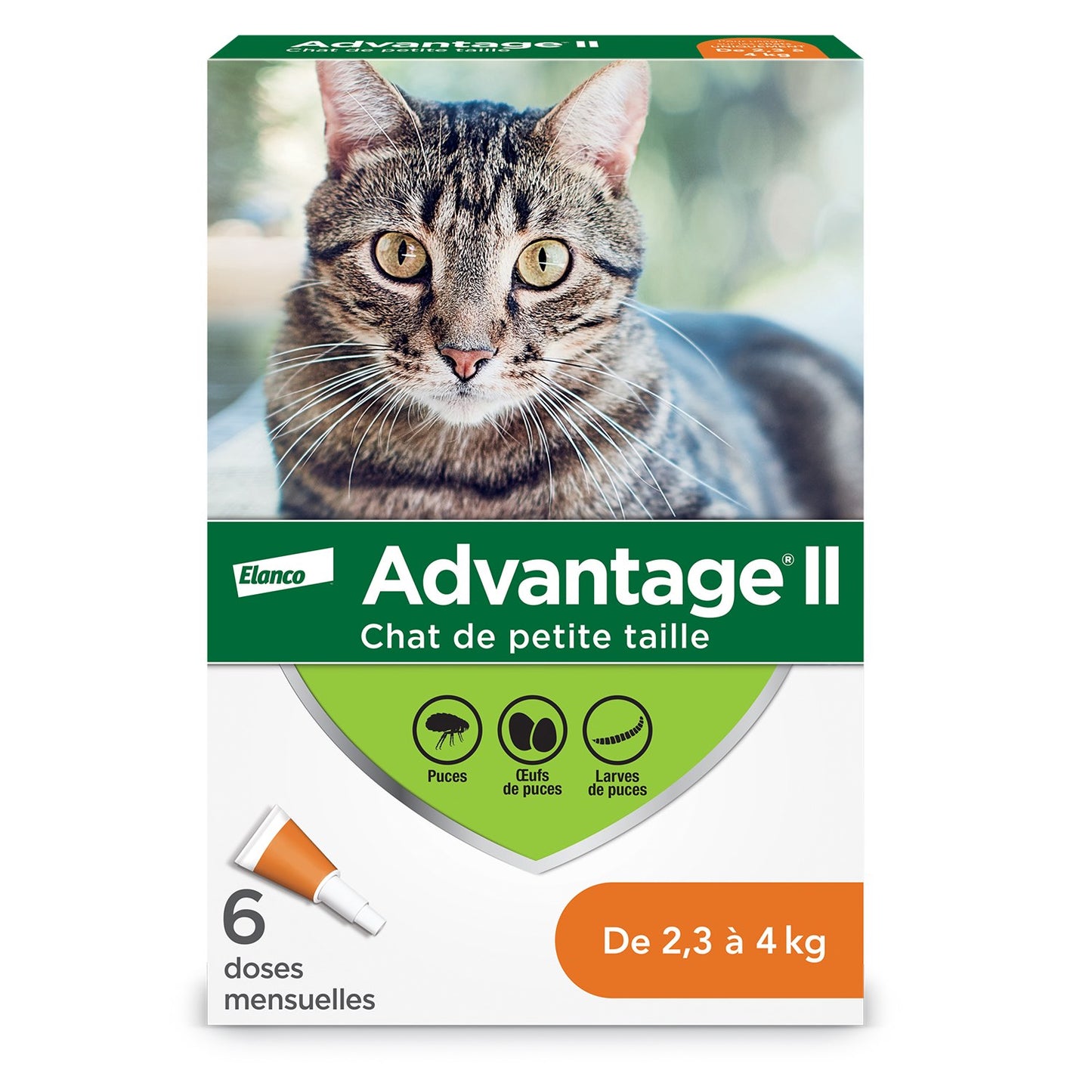 Advantage II for Cats - 2.3-4 kg (Orange) / Pack of 6 - product image 1