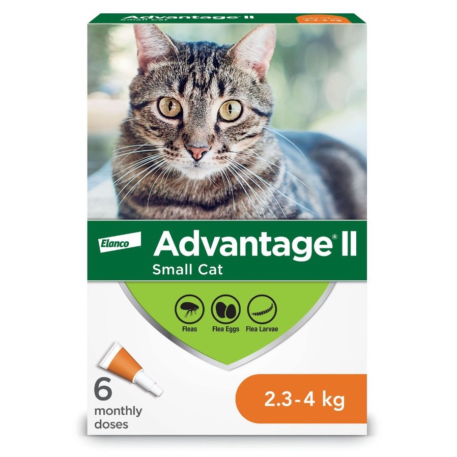Advantage II for Cats (Orange) (2.3 - 4 kg) Pack of 6 - additional product view 2