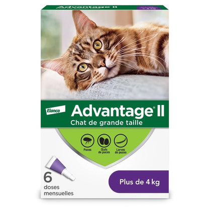 Advantage II for Cats (Purple) (Over 4 kg) Pack of 6