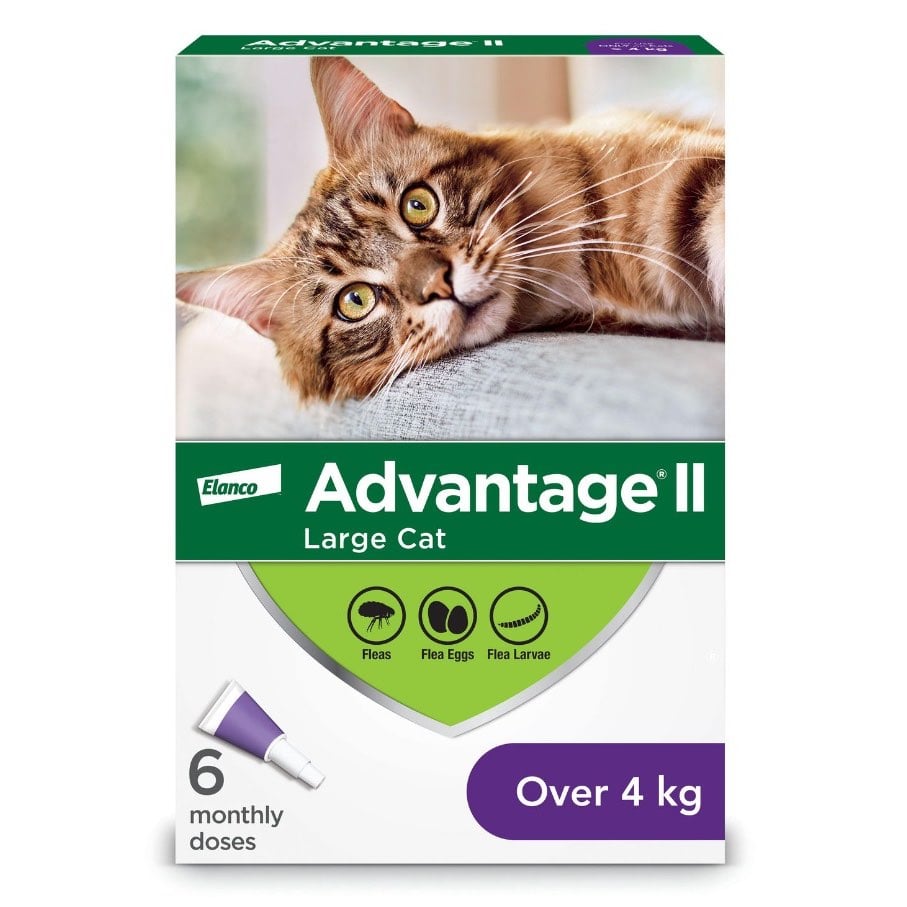 Advantage II for Cats (Purple) (Over 4 kg) Pack of 6 - additional product view 2