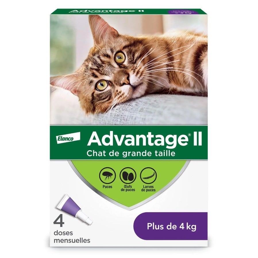 Advantage II for Cats (Purple) (Over 4 kg) Pack of 4