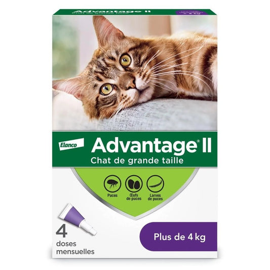 Advantage II for Cats (Purple) (Over 4 kg) Pack of 4