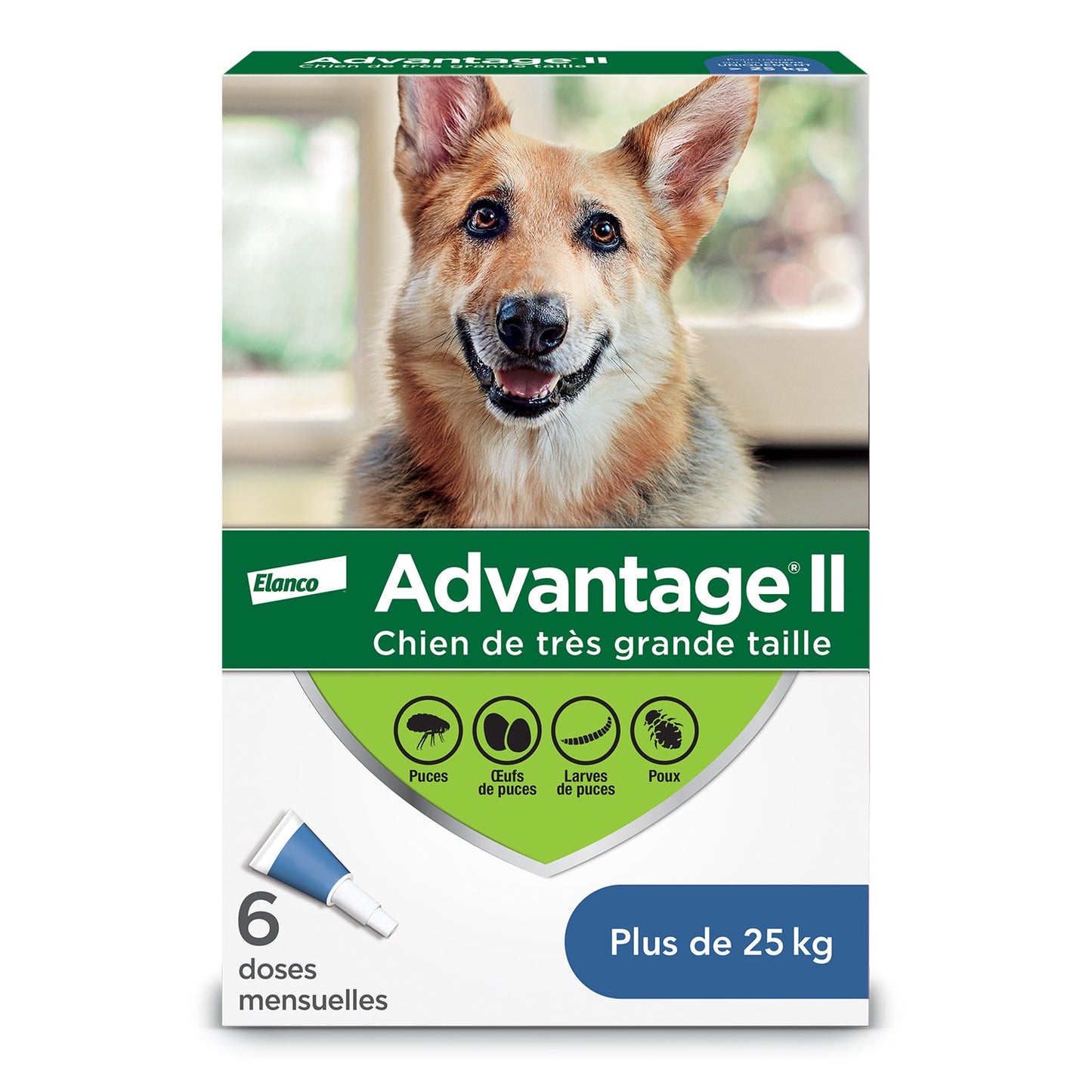 Advantage II for Dogs (Blue) (Over 25 kg) Pack of 6