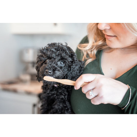 Bamboo Toothbrush for Pets 1 Toothbrush - additional product view 2