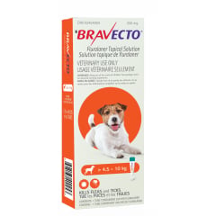 Bravecto Topical Solution for Dogs, 4.6 - 10 kg (Orange), 1 Applicator - product image 1