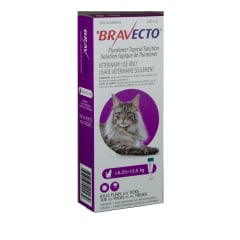 Bravecto Topical Solution for Cats, 6.26 - 12.5 kg (Purple), 1 Applicator - product image 1