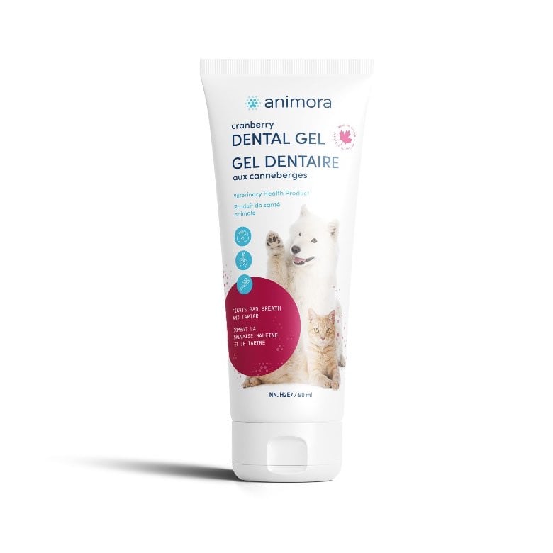 Dental Gel (Cranberry) 90 mL Tube