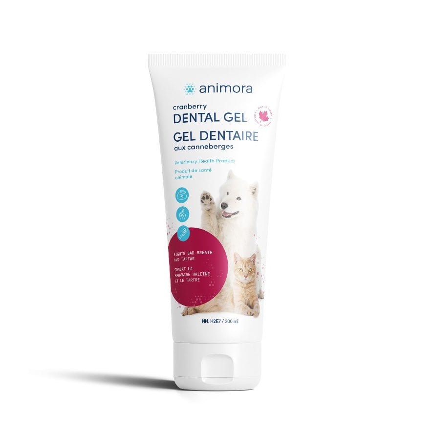 Dental Gel (Cranberry) 200 mL Tube