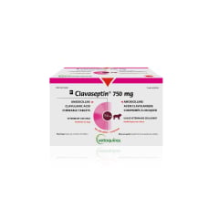 Clavaseptin Chewable Tablet for Dogs, 750 mg, 100 Chews - product image 2