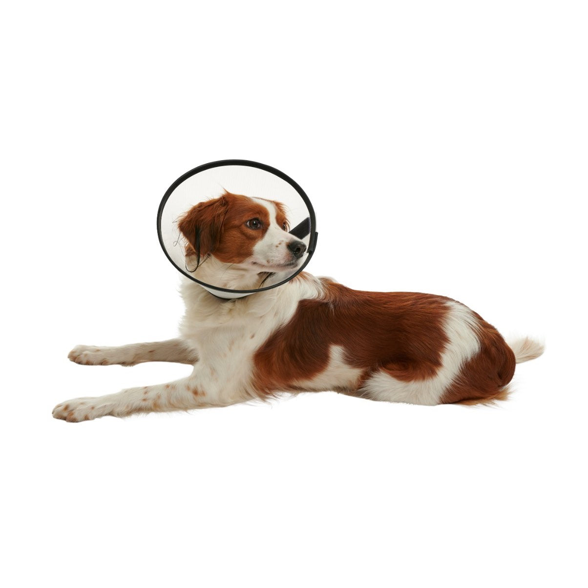 Buster Quick Collar 20 cm 1 Collar - additional product view 3