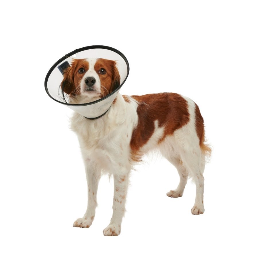 Buster Quick Collar 30 cm 1 Collar - additional product view 2