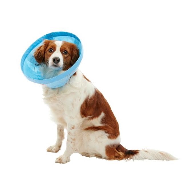 Buster Soft Flex Collar (Blue) 20 cm 1 Collar - additional product view 3