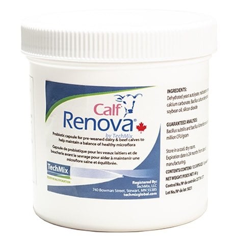 Calf Renova Pack of 12