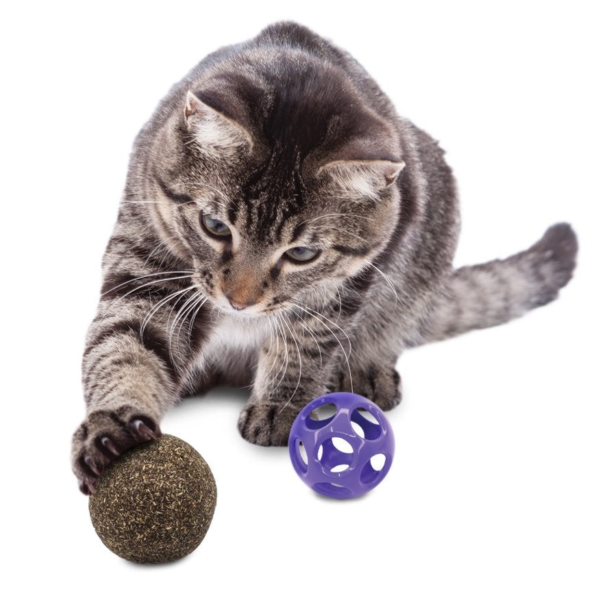 Blissy Moon Toy with Catnip for Cats 1 Unit - additional product view 3