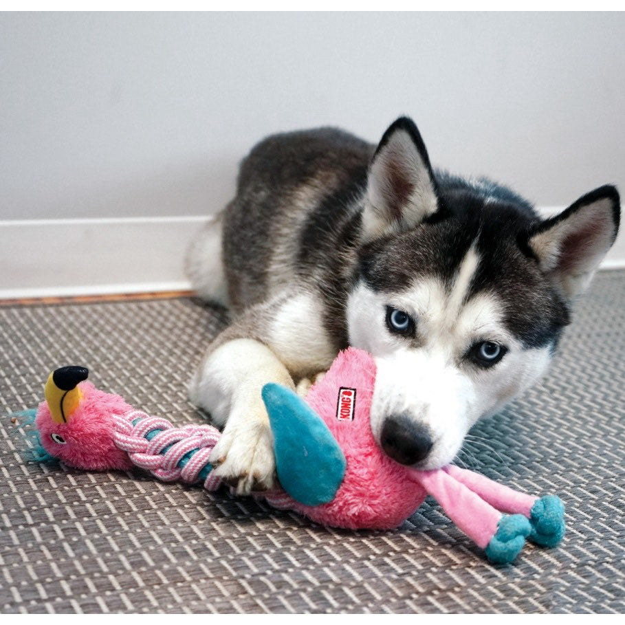 Knots Twists Toy for Dogs 1 Toy - additional product view 4