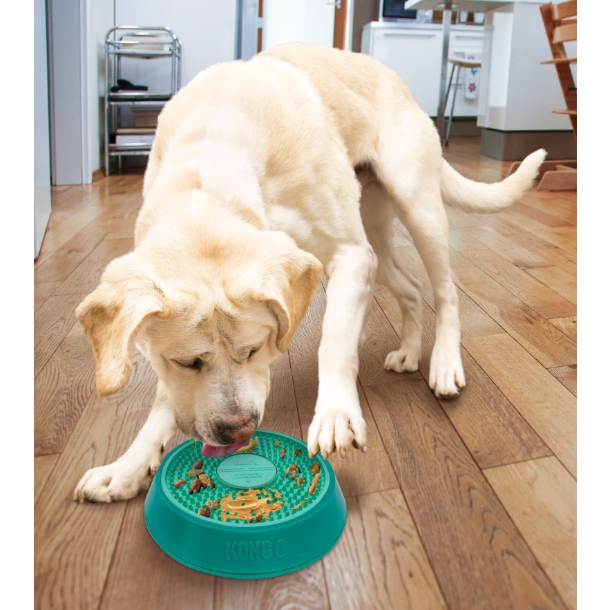 Treat Dispenser Spinz Licks for Dogs (Aqua) 1 Dispenser - additional product view 3
