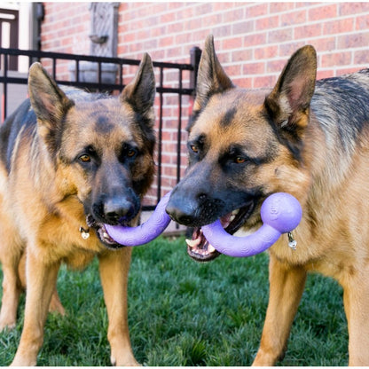 Ogee Stick Toy for Dogs (Purple) 1 Toy - additional product view 4