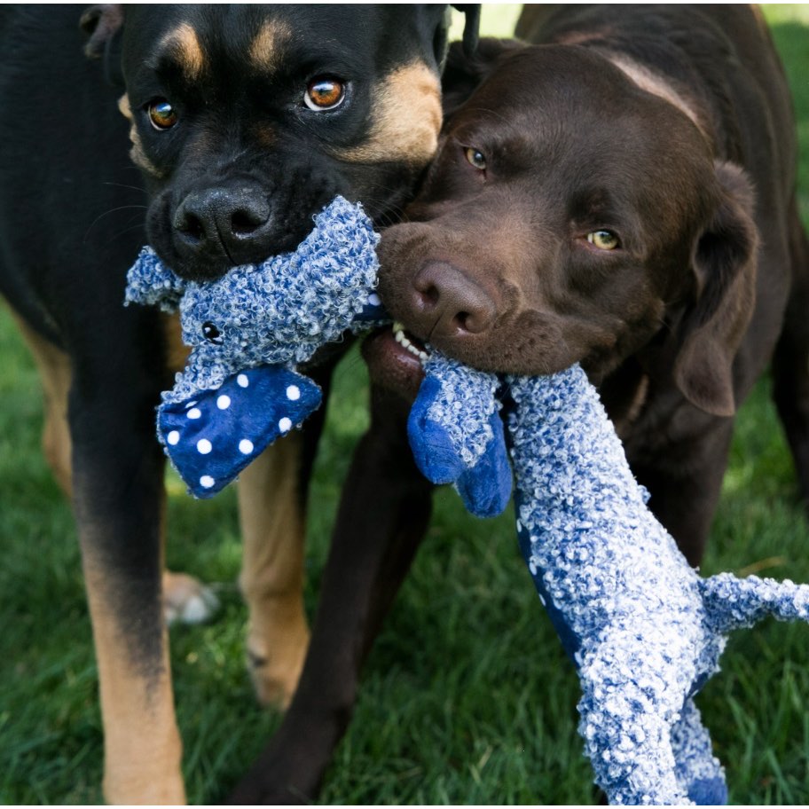 Shakers Luvs Plush for Dogs 1 Plush - additional product view 3