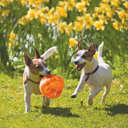Jumbler Ball Toy for Dogs 1 Toy, Random, Medium / Large - additional product view 3