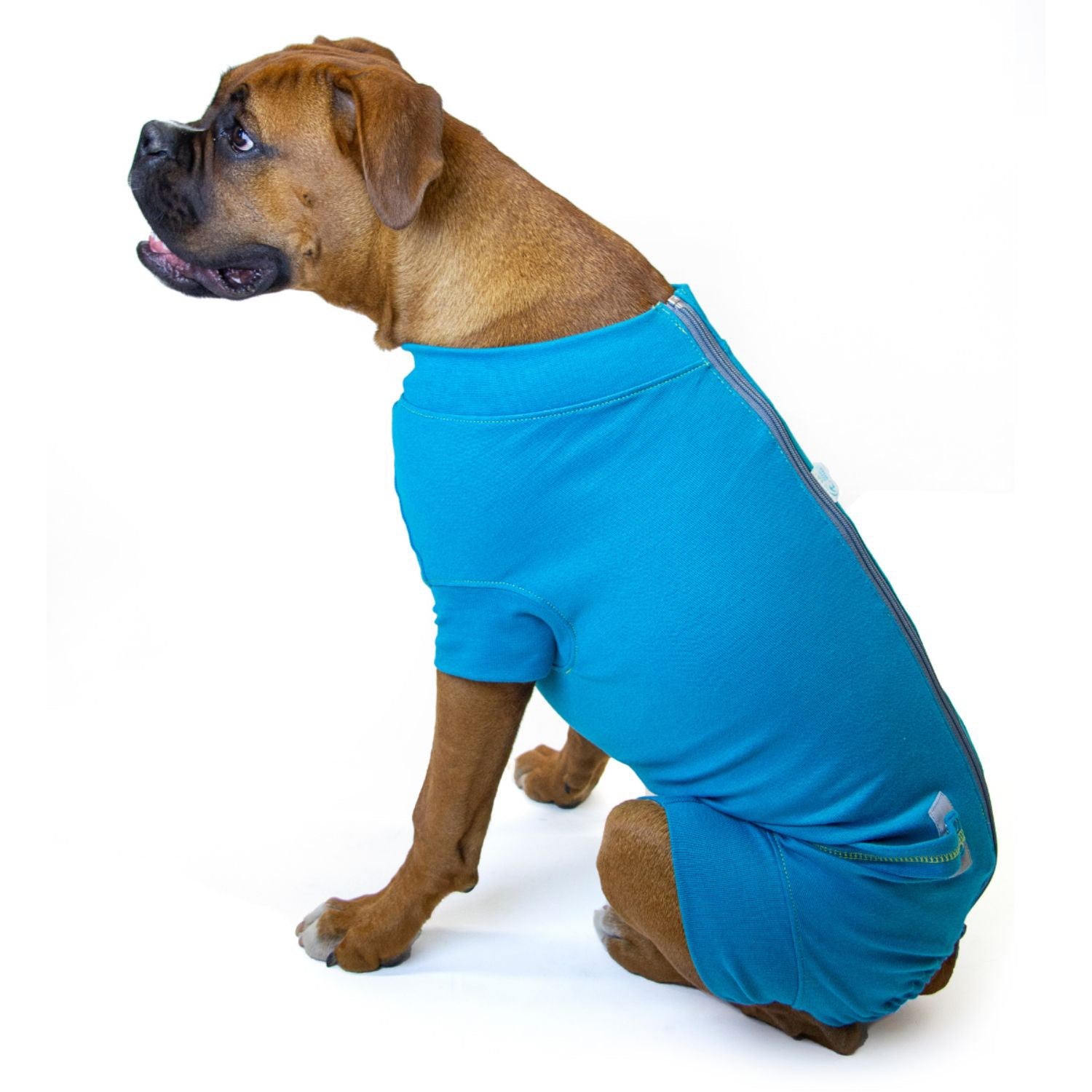 Recovery Suit for Males (Aqua) 1 Unit, XXLarge
