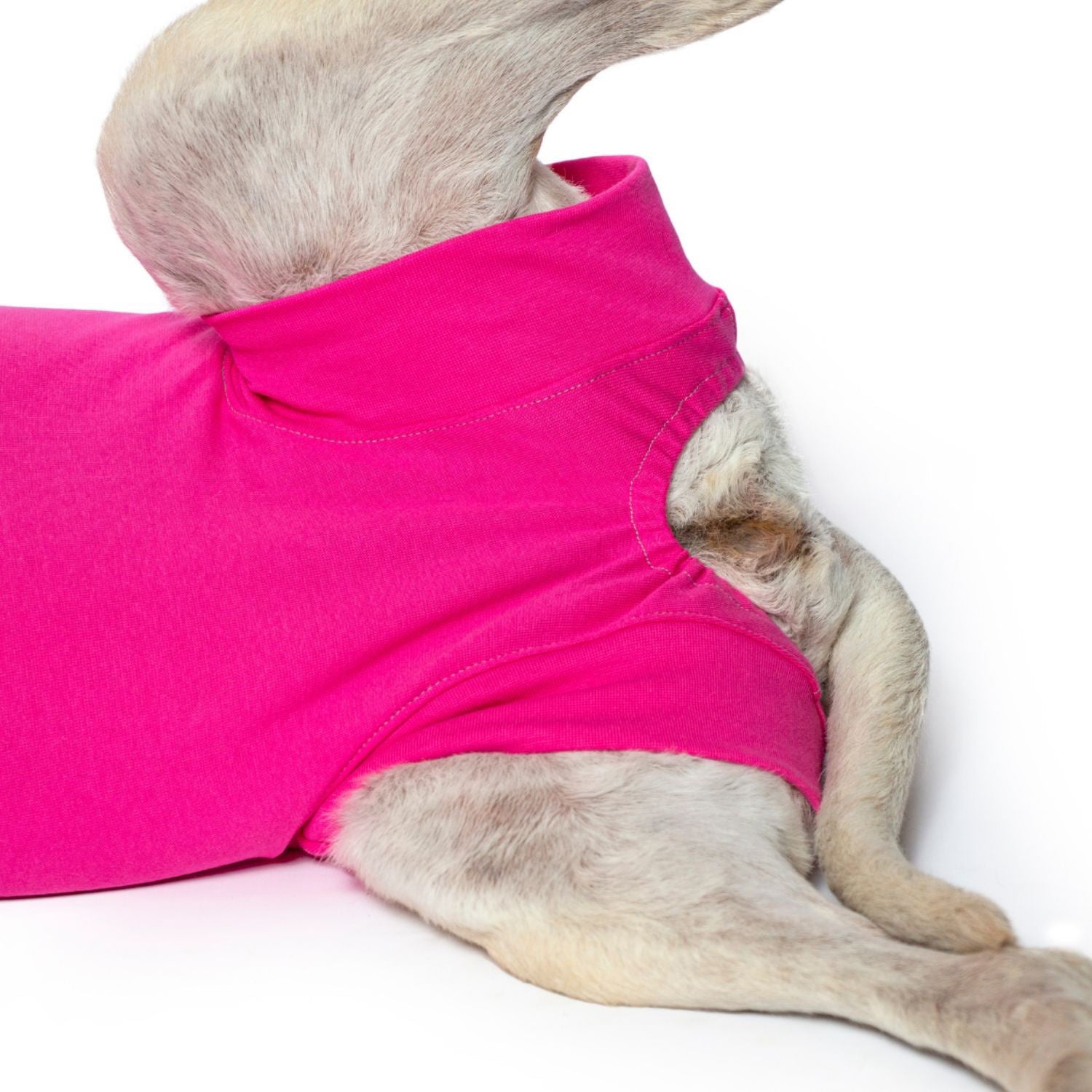 Recovery Suit for Females - Small - product image 4