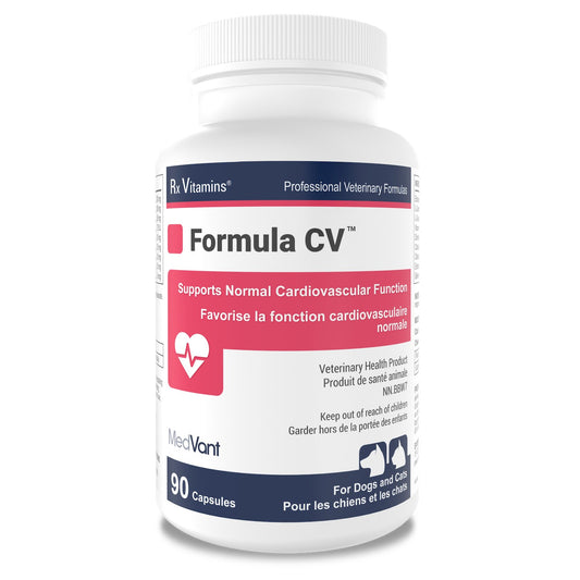 Rx Vitamins Formula CV for Cats 90 Cap