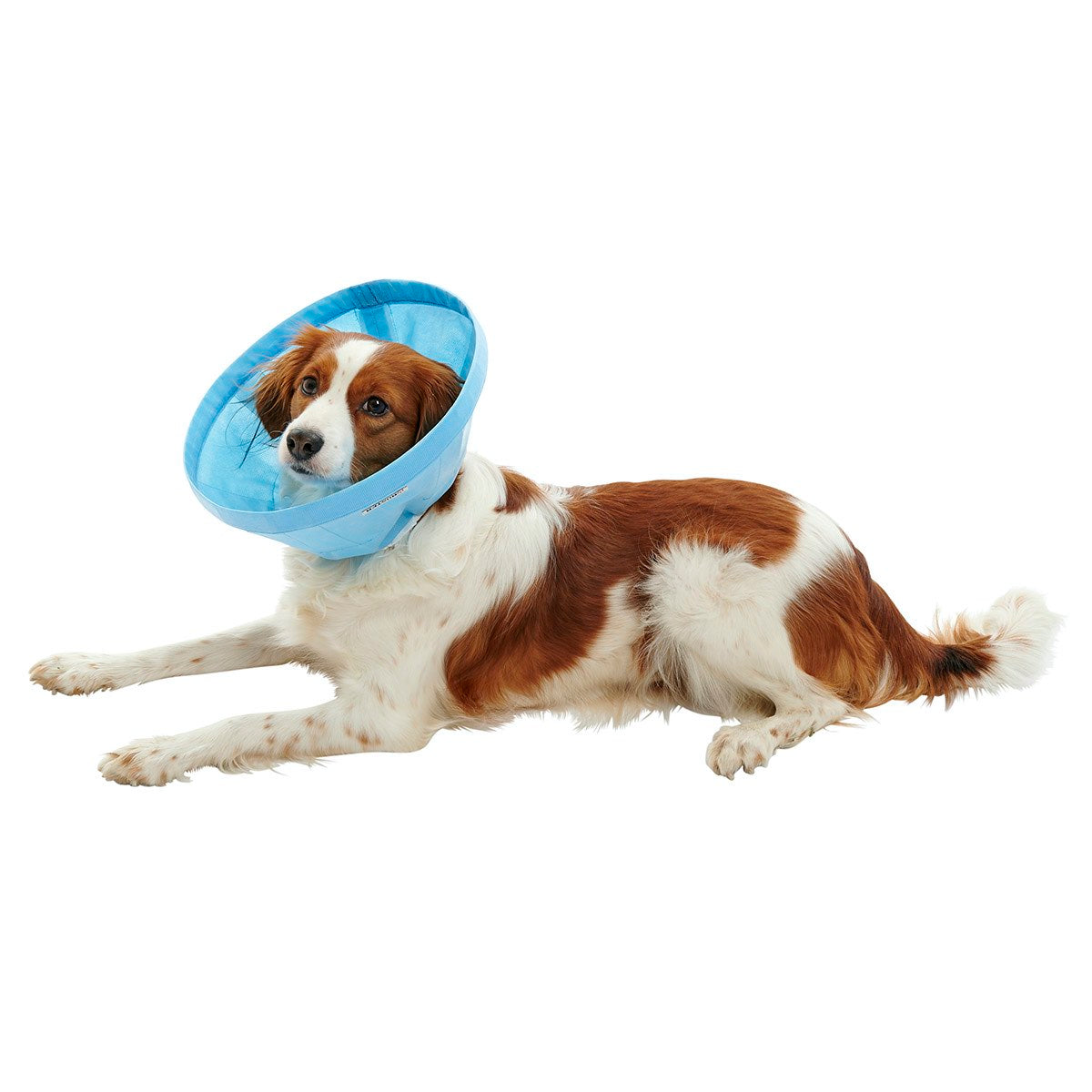 Buster Soft Flex Collar (Blue) 10 cm 1 Collar - additional product view 3