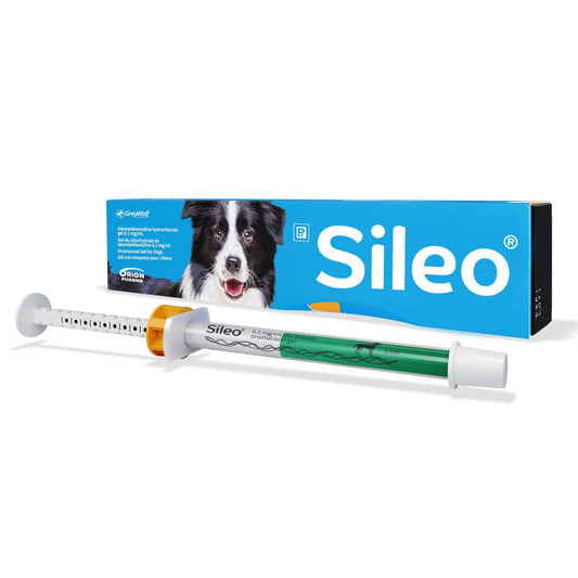 Sileo Oromucosal Gel for Dogs Pack of 1 X 3 mL Syringe