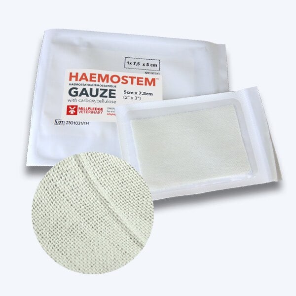 Haemostem Haemostatic Gauze 1 Unit