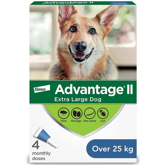 Advantage II for Dogs (Blue) (Over 25 kg) Pack of 4 - additional product view 2