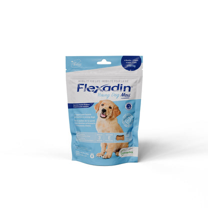 Flexadin Young Dog Maxi Chews for Young Dogs (Chicken) Pack of 60
