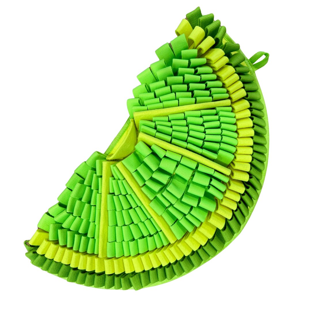 Snuffle Mat PawzNDogz Level 2 for Dogs 1 Unit, Citrusy - Zesty Lime, 1 Mat