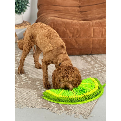 Snuffle Mat PawzNDogz Level 2 for Dogs 1 Unit, Citrusy - Zesty Lime, 1 Mat - additional product view 4