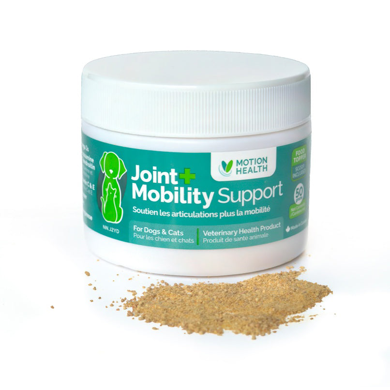 Joint + Mobility Support GLM Powder for Cats and Dogs 50 g Jar 250 mg