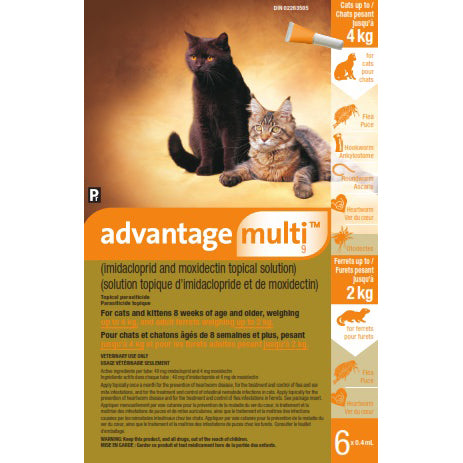 Advantage Multi for Cats and Ferrets Solution Box of 6 Applicator