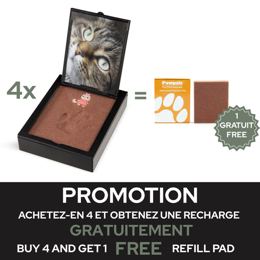Paw Print Paw Pal Kit 1 Unit