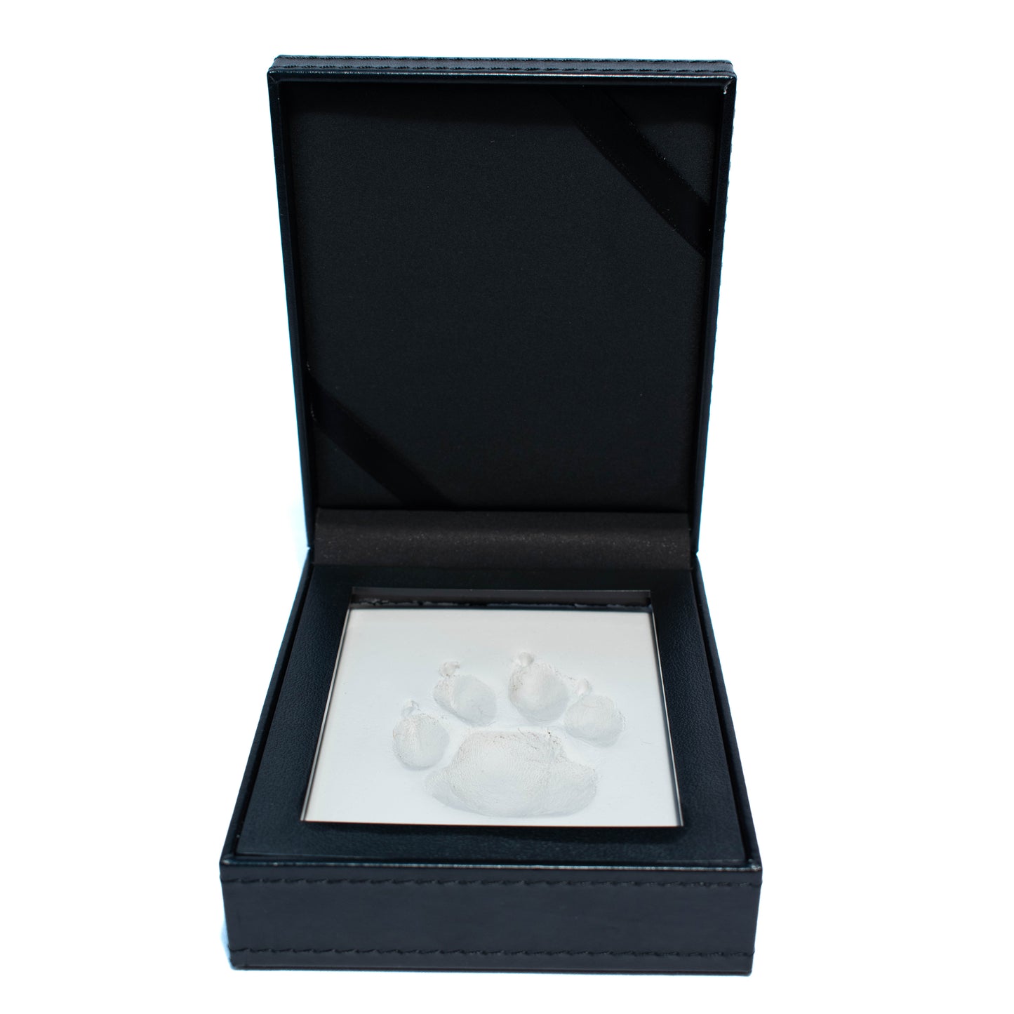Paw Print with Clay in Leather Kit 1 Unit