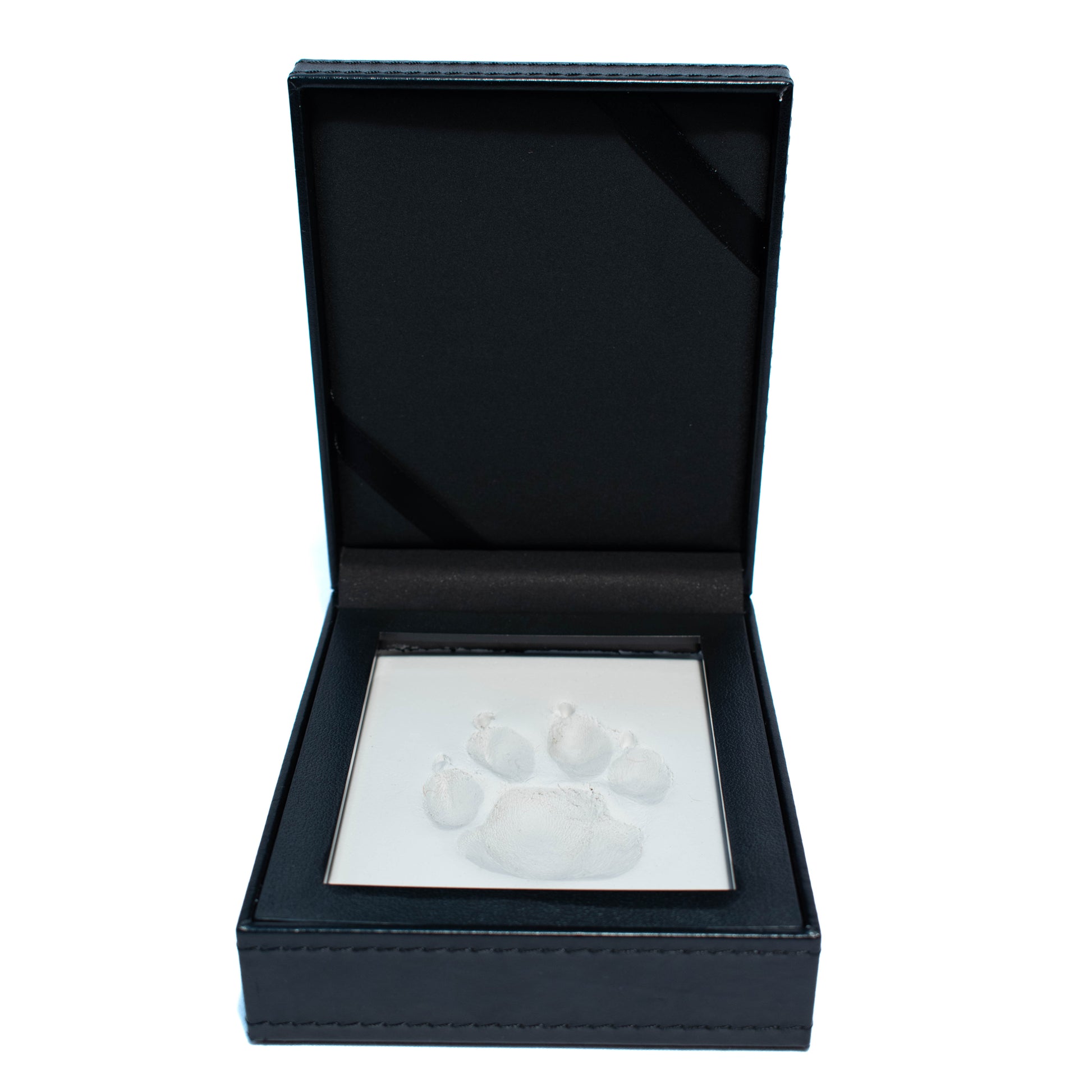 Paw Print with Clay in Leather Kit 1 Unit