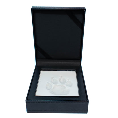Paw Print with Clay in Leather Kit 1 Unit