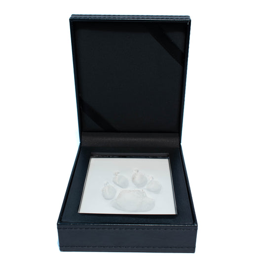 Paw Print with Clay in Leather Kit 1 Unit