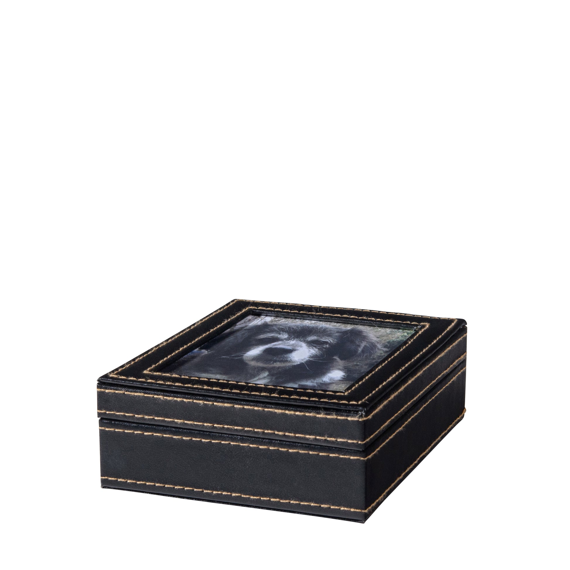 Paw Print with Clay in Leather Kit 1 Unit - additional product view 4