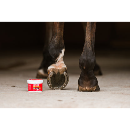 Hoof Doctor Putty for Horses 340 g Container - additional product view 2
