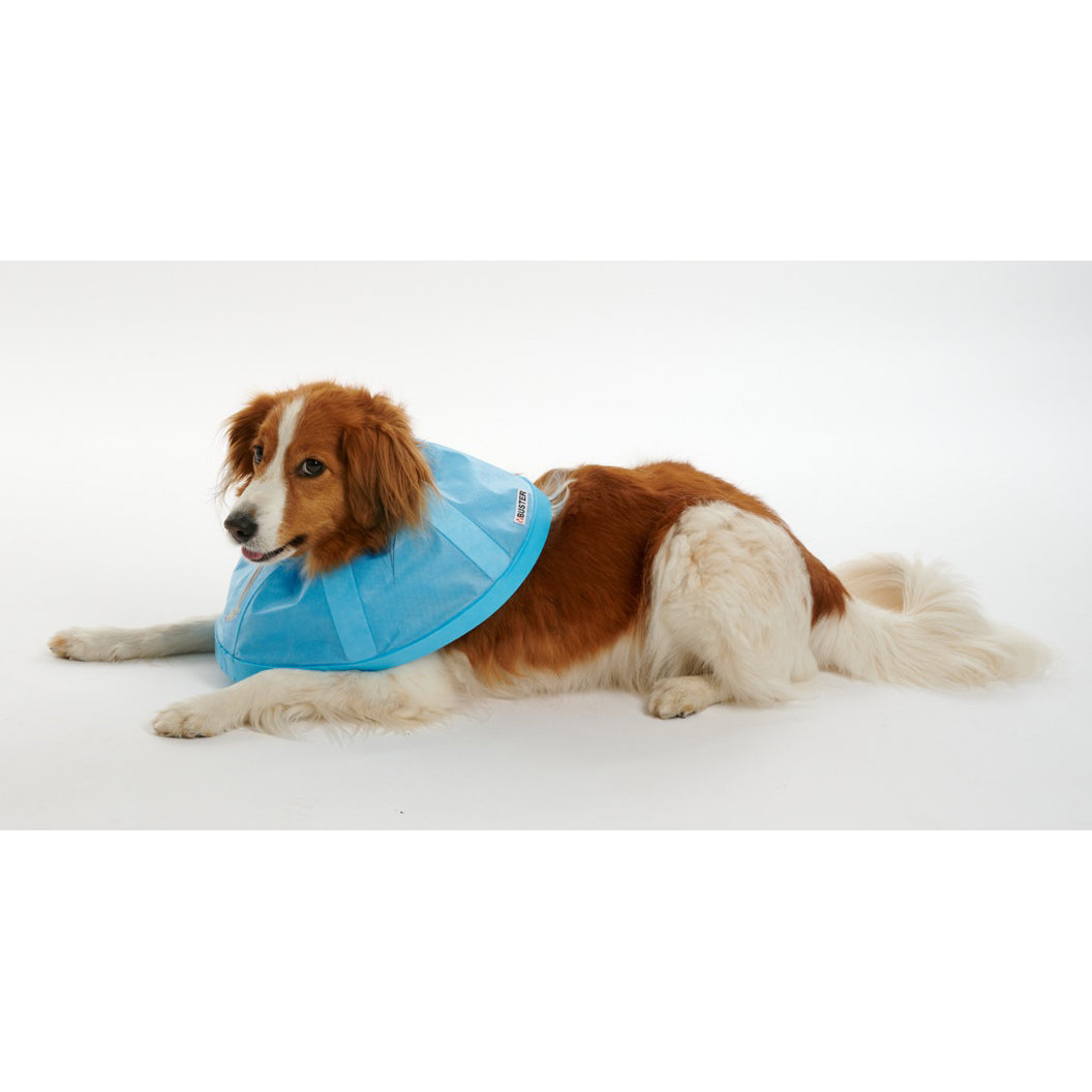 Buster Soft Flex Collar (Blue) 15 cm 1 Collar - additional product view 4