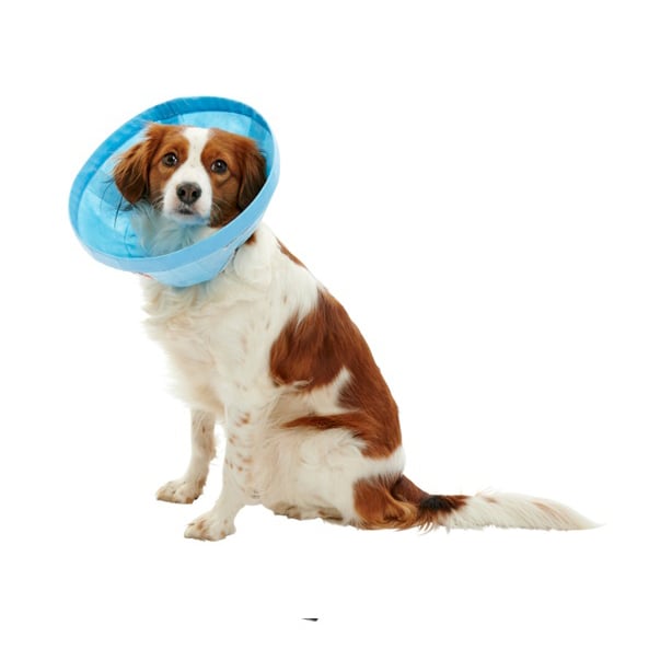 Buster Soft Flex Collar (Blue) 25 cm 1 Collar - additional product view 3